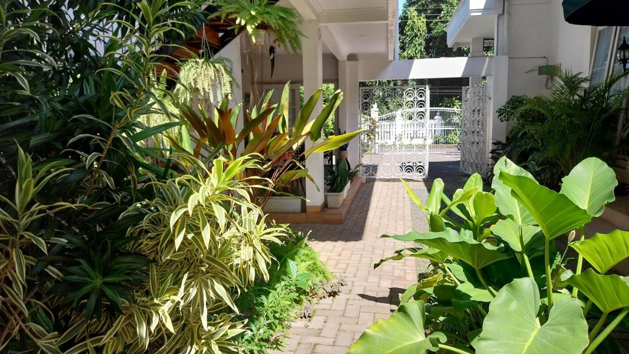 Surokarsan 9 House Yogyakarta Ξενοδοχείο Εξωτερικό φωτογραφία